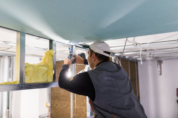 Best Insulation for Specific Applications in Pepperdine University, CA